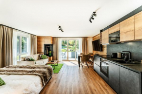 Black Forest Luxury Apartment Bärenhöhle mit Sauna Schluchsee